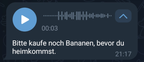 Umgewandelte Audio-Datei in Text